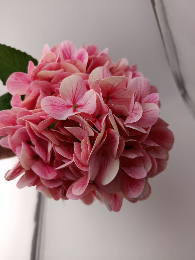 Ramo de Flores Artificiales Rosadas