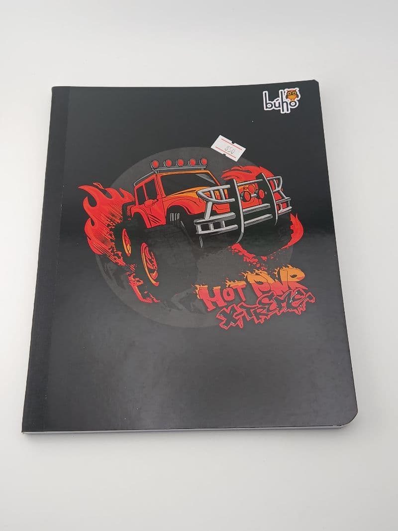 Cuaderno Cosido Búho de 100 Hojas Decorado