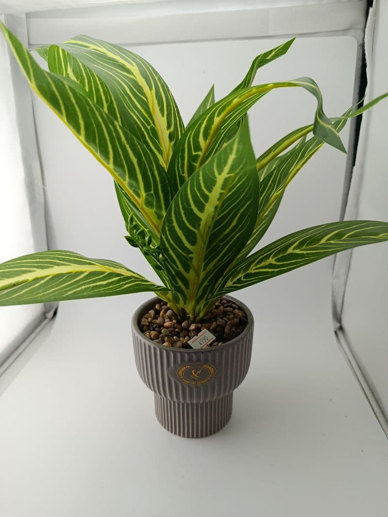 Planta artificial decorativa con maceta de cerámica 32x10x7.5 cm
