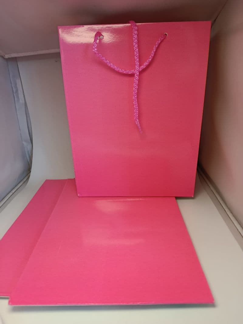 Bolsas de Regalo Medianas Lisas Color Rosa, Paquete de 6 Unidades