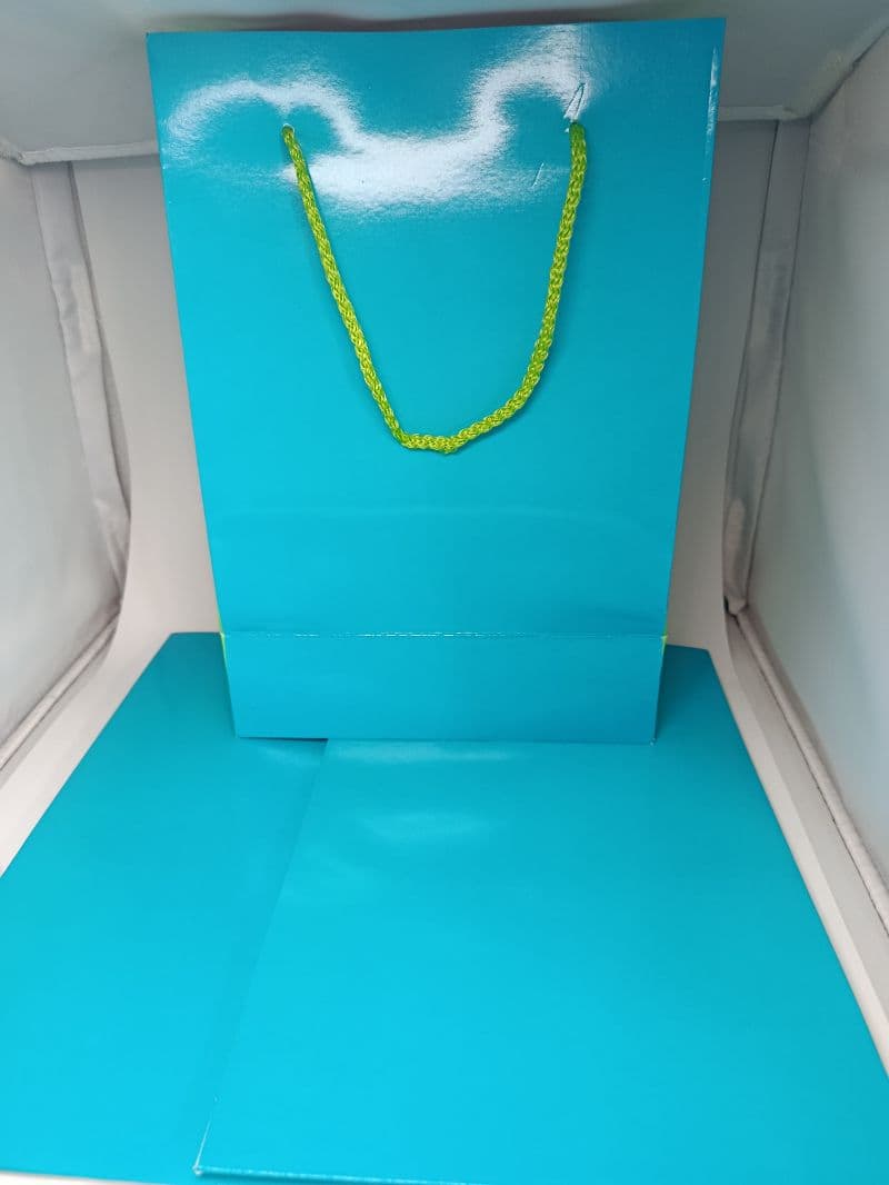 Bolsas de Regalo Medianas Lisas Color Celeste, Paquete de 6 Unidades