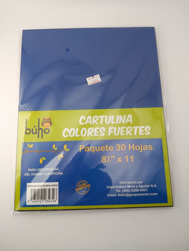 Cartulina Colores Fuertes Búho Tamaño Carta 30 Hojas