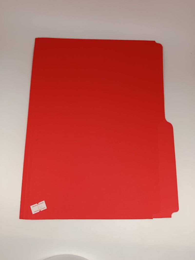 Folders de Color Ampo Tamaño Carta Surtidos, Paquete de 100 Unidades