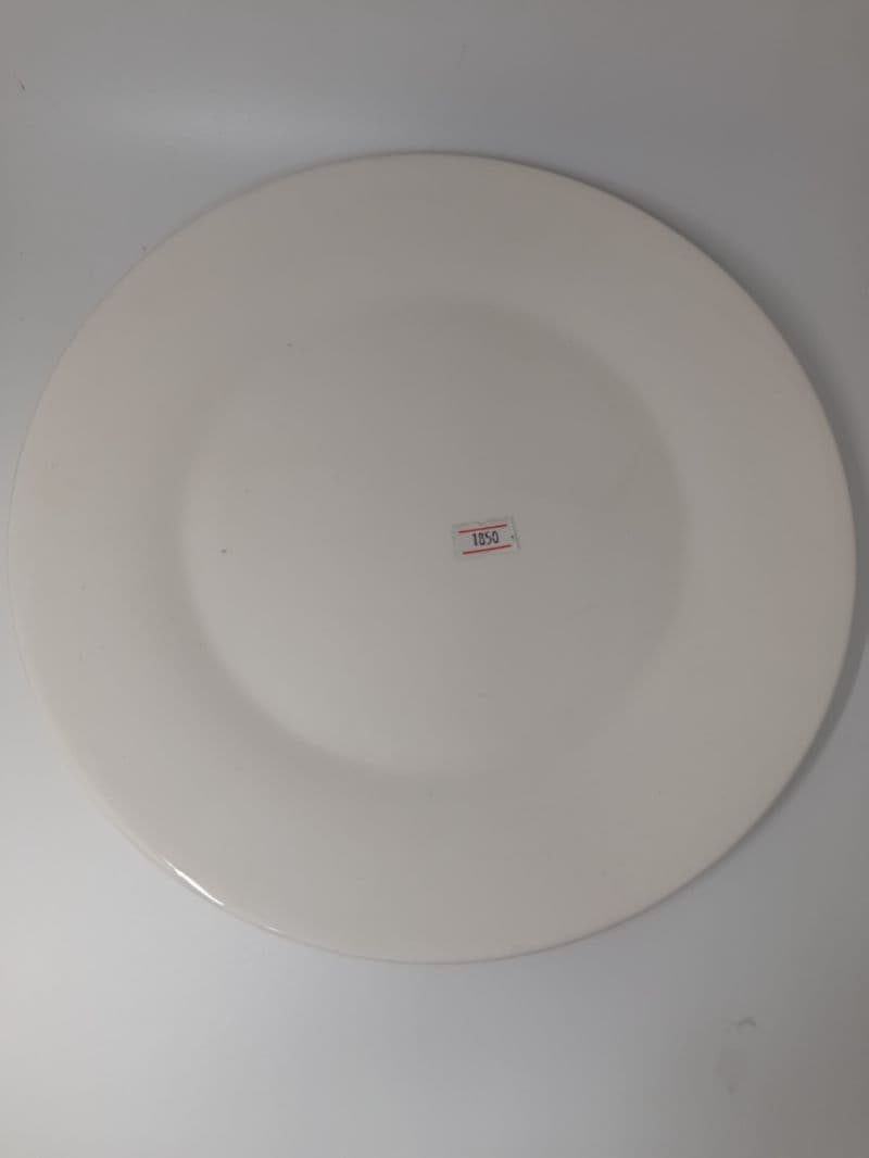 Plato de porcelana blanco de 11 pulgadas