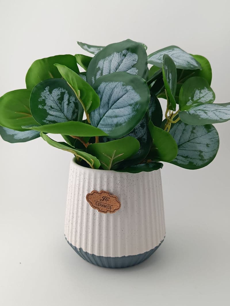 Planta verde con maceta de cerámica de 22 cm