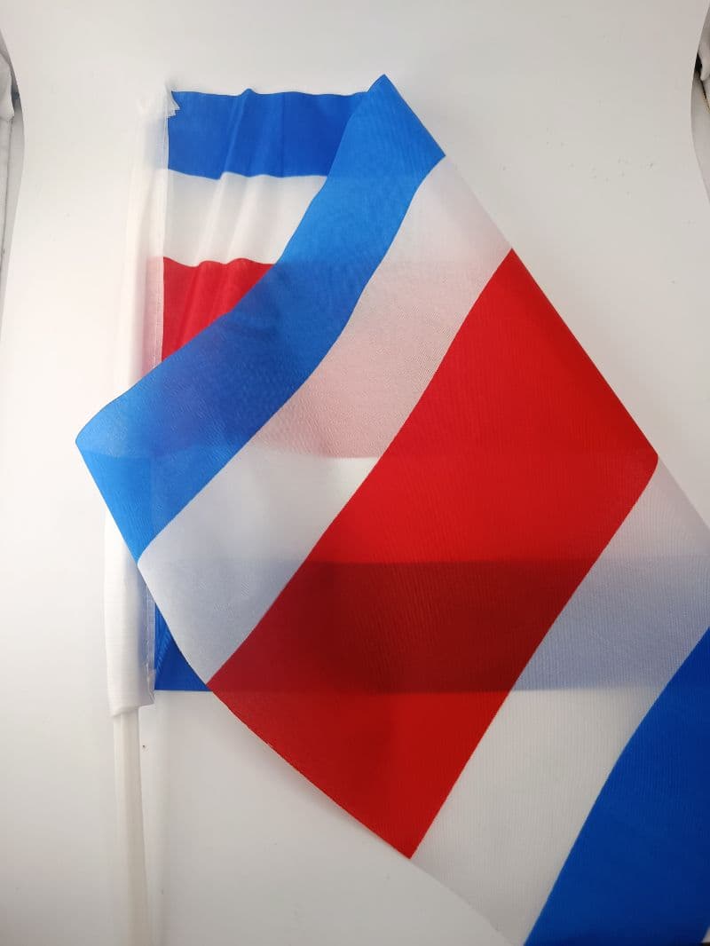 Paquete de 12 Banderas de Costa Rica de Tela para Carro (30x45 cm)