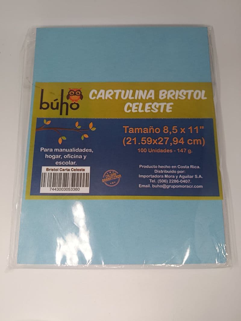Cartulina Bristol Celeste Tamaño Carta Búho - 100 Unidades