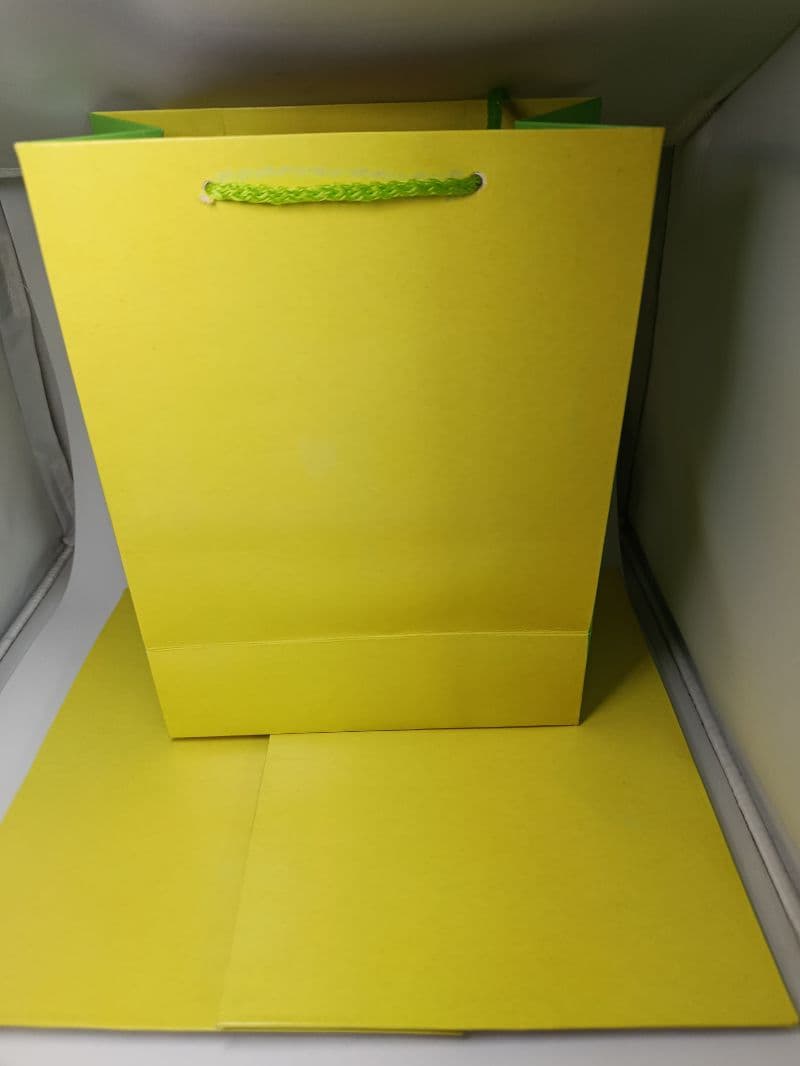 Bolsas de Regalo Medianas Lisas Verde, Paquete de 6 Unidades