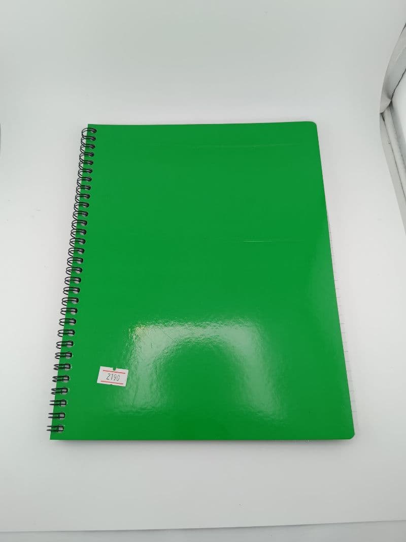 Cuaderno Búho argollado unicolor 80 hojas, tapa verde