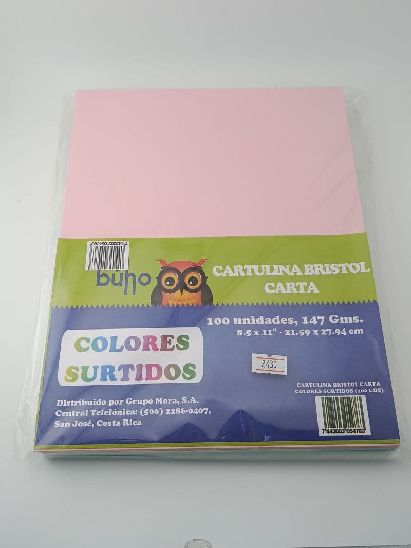 Cartulina Bristol Buho Carta Colores Surtidos, 100 hojas